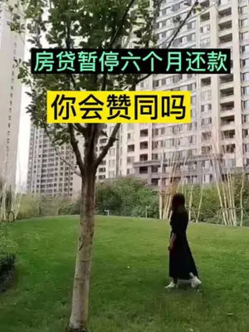 買房那些事 最新消息 房產知識分享 干貨分享 房產咨詢 分享房產知識