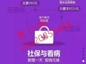 圖 布吉社保代買續(xù)交,羅湖實體公司有意者咨詢 深圳學歷教育